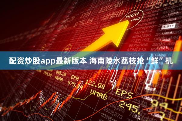 配资炒股app最新版本 海南陵水荔枝抢“鲜”机